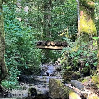 gorge poeta raisse riviere sentier pont bois
