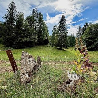 paysage de forêt et clairière dans le Val de Travers, nature préservée dans le Jura suisse