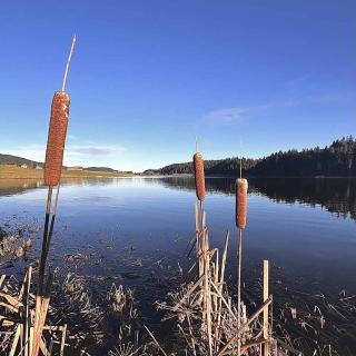 Lac des Taillères en famille près Hôtel Les Cernets val de travers