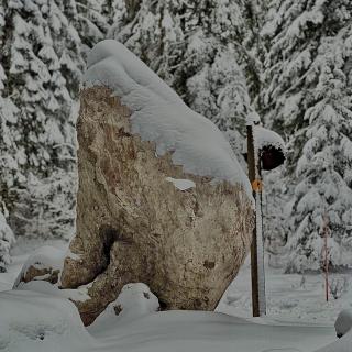 Menhir du Combasson en forêt enneigée dans le Val de Travers, site naturel du Jura suisse