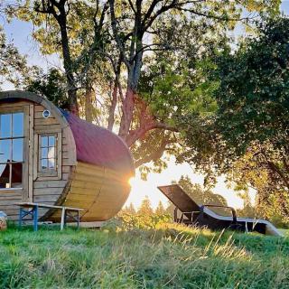 Tiny House Hôtel Les Cernets Nature soleil levant