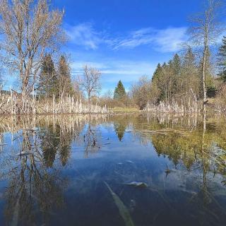 Zone humide et naturelle Val de Travers 