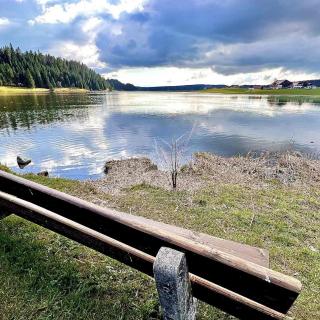 banc avec vue sur le lac des taillères au printemps dans le val de travers