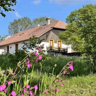 Hôtel dans le Jura suisse au printemps avec fleurs sauvages et nature verdoyante