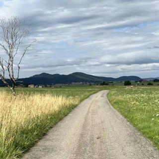 Petite route de campagne entre la vallée de la Brévine et les Cernets avec vue sur les montagnes du Jura
