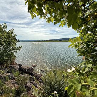 Lac des Taillère en été vue panoramique entre un églantier dans la vallée de la Brévine