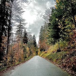 Route panoramique bordée de sapins en automne menant vers l'Hôtel Restaurant Les Cernets dans le Val de Travers, au coeur du Jura neuchâtelois