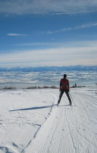 Ski