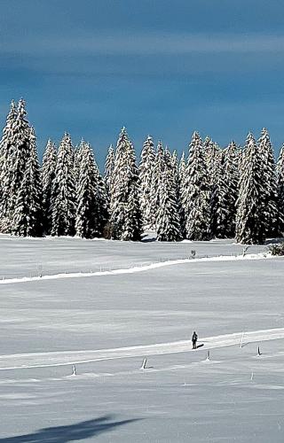 Ski Nordique aux Cernets