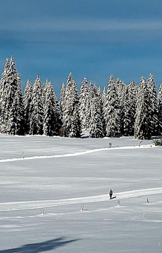 Ski Nordique aux Cernets