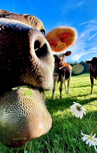 Nature Val-de-Travers